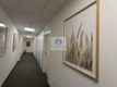 Śródmieście: lokal biurowy 23,67 m2 do wynajęcia