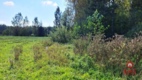 Działka 1692 m2. Łubianka