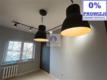 Wola: lokal biurowy 20 m2 do wynajęcia