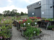 Pawilion - działka 1645 m2