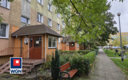 Nowa Sól, mieszkanie, 2 pokoje, 44,20 m2, sprzedam 239 000zł.  
  
Na sprzedaż mieszkanie 2-pokojowe znajdujące się na III pięt