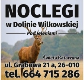 Noclegi Świętokrzyskie W Dolinie Wilkowskiej ,,Pod Jeleniami" prawdziwymi Góry Świętokrzyskie