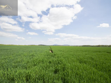 Działki Rolne pod dzierżawę