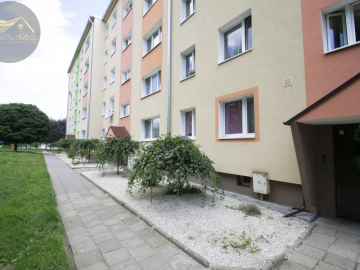 Kawalerka, Os. Młodych