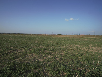 Działka budowlana/inwestycyjna, Lublin, 0,82 ha