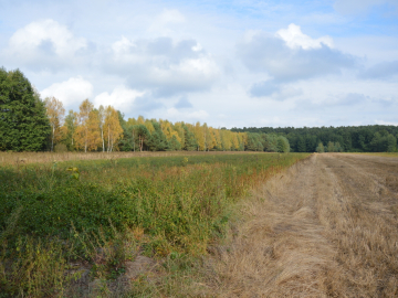 Działka, Klarów, 1,09 ha