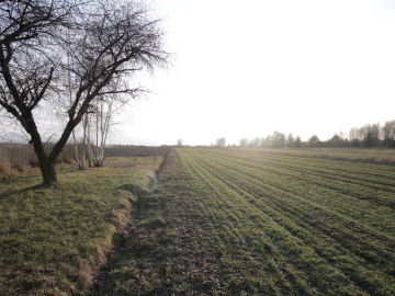 Działka budowlana blisko Lubartowa tylko 4 km