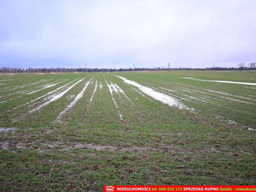 Wierciszów, działka budowlana MN, media.
