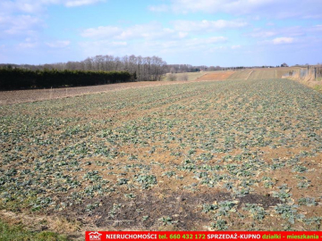 Działka rolna w Motyczu, pow. 6800 m2