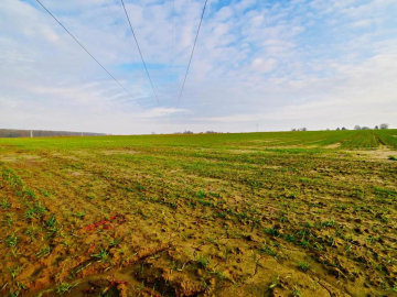 Działka rolno-budowlana - doskonała inwestycja!