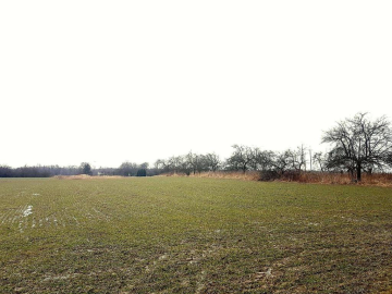 Uniszowice gm. Konopnica, 7800 m2