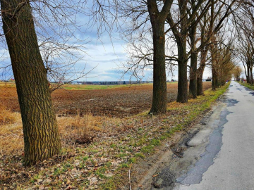 Działka inwestycyjna w Zemborzycach Kościelnych