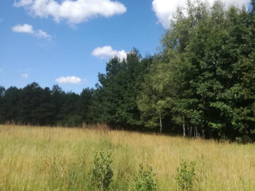 Kolonia Garbatówka, działka rolna, 3,18 ha!!