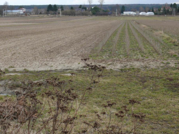 Działka w doskonałej lokalizacji-5 min. od Zalewu