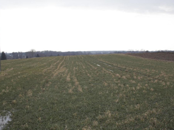 Cicha działka Tomaszowice