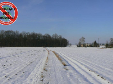 Krężnica Jara 8km od Lublina. 8000m2