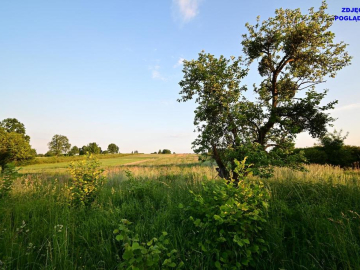 Działka doskonała pod inwestycję - Nałęczów - 14ar