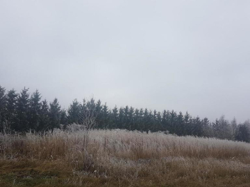Sprzedam działkę mieszkaniowo-rzemieślniczą!