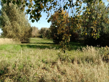 Piotrowice - działka 20 arów w doskonałej cenie!