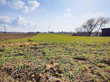 Działka pod zabudowę - Miłocin Kolonia - 47ar