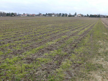 Działka w doskonałej lokalizacji-5 min. od Zalewu