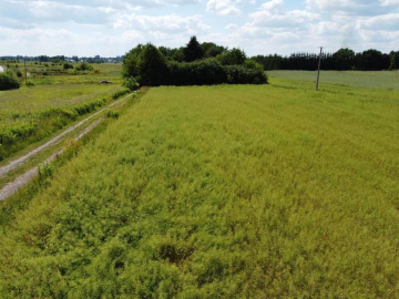 Snopków, 74ar, Gmina Jastków, Media