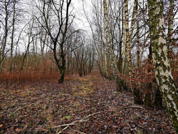 95 arów pod Kazimierzem Dolnym