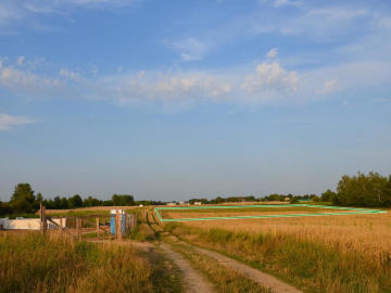 Działka rolna jako inwestycja Marysin!