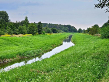 Łąki przy kanale - częściowo pod wydobycie torfu!!