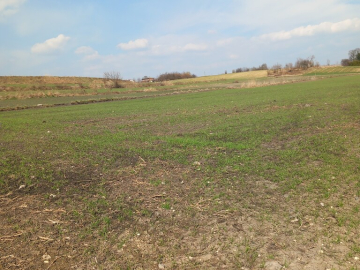 Jakubowice Murowane, gm. Wólka-działka 6600m2