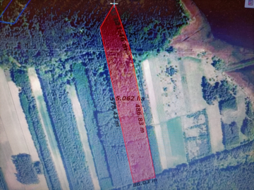 Działka leśna 3,90 ha w Brodach  gm. Pierzchnica.