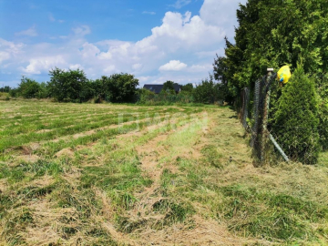 Jędrzychów, działka budowlana, 14,67 ar, sprzedaż, 146 700 zł.  
  
Na sprzedaż grunt w miejscowości Jędrzychów w powiecie polk