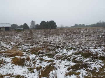 Sobin, Polkowice, działka przemysłowo-usługowa, 22 ar, sprzedam, 120 000 zł.  
  
Na sprzedaż grunty pod inwestycję w miejscowo