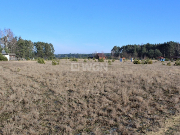 Jesiona, działka budowlana, 1724 m2, 125 000 zł, sprzedam.  
  
W ofercie sprzedaży działka letniskowa z możliwością zabudowy c