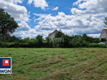 Wiechlice, działka budowlana, 1603 m2, cena 96 180 zł, sprzedam.  
  
Na sprzedaż działka nr 141/2, z wydanymi warunkami zabudo