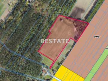 Działka 3 000m2 pod lasem w dobrej cenie.