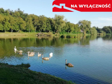 Działka o pow. 4,6 ha w Klementowicach gm. Kurów.