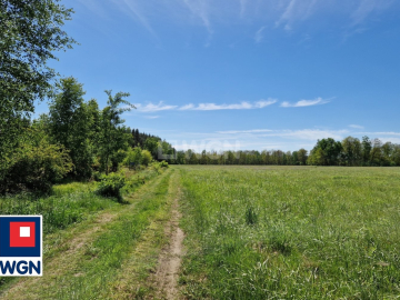 Nowa Kopernia, działka 1700 m2, cena 102 000 zł, sprzedam.  
  
Na sprzedaż działka budowlana w rejonie Szprotawa/Nowa Kopernia