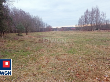 Siedlce, gmina Lubin, działka budowlana, 9787 m2, sprzedaż, 390000 zł.  
  
Działka w części budowlana położona w miejscowości 