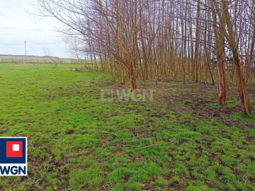 Kłobuczyn, gmina Gaworzyce, działka budowlana, 2800m2, cena 150000zł.  
  
Zapraszam do zapoznania się z ofertą gruntu budowlan