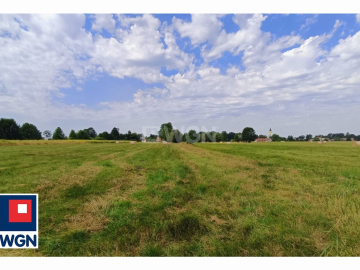 Jędrzychów, działka rolna, 7000m2, 150 000zł, sprzedam.


Zapraszam do zapoznania się z ofertą działki rolnej położonej w miejs