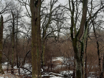 Piękna działka z WZ dla dwóch domów