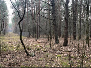 Sprzedam super działkę inwestycyjno-budowlaną .