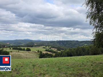 Niedźwiedzica, grunt o powierzchni 3000 m2, cena 305 000 zł, sprzedam.  
  
Na sprzedaż atrakcyjna działka o numerze ewidencyjn