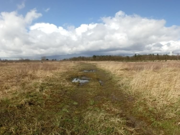 Logistyka magazyny produkcja