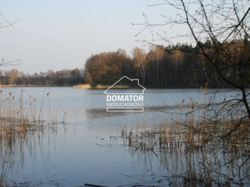 Działka 21000 m2 w Borach Tucholskich.