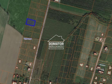Działka 1222 m2, Tryszczyn  
 
Polecam działkę o powierzchni 1222 m2 położoną w miejscowości Tryszczyn, 
gmina Koronowo. 
Dział