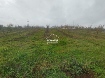 Malownicza działka 1500 m2, Tryszczyn