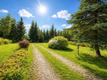 Ostatnie działeczki  Gzin /Dąbrowa Chełmińska