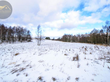 Malowniczo położone działki rekreacyjne/Michałkowa